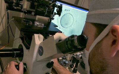 Illustrative image: A lab in an IVF clinic. (AP Photo/Richard Drew)
