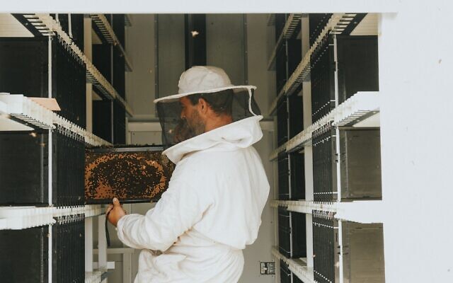 Inside the Beehome, an autonomous, automated hive by Israeli startup Beewise that can house up to 24 bee colonies. (Courtesy)