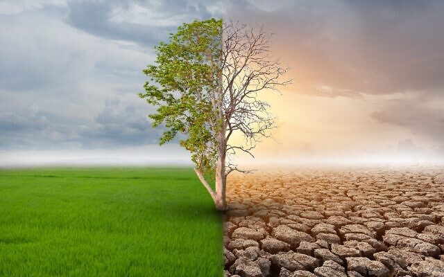 Illustrative: Global warming. (Chonticha Wat; iStock by Getty Images)