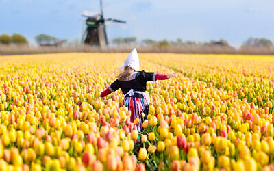 Illustrative photo of a child in a tulip field in Holland. (iStock/ FamVeld)