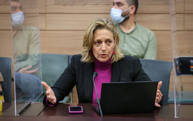 Dr. Sharon Alroy-Preis, head of public health at the Health Ministry, addresses a meeting of the Knesset Constitution, Law and Justice Committee on November 28, 2021. (Noam Moskowitz/Knesset Spokesperson)