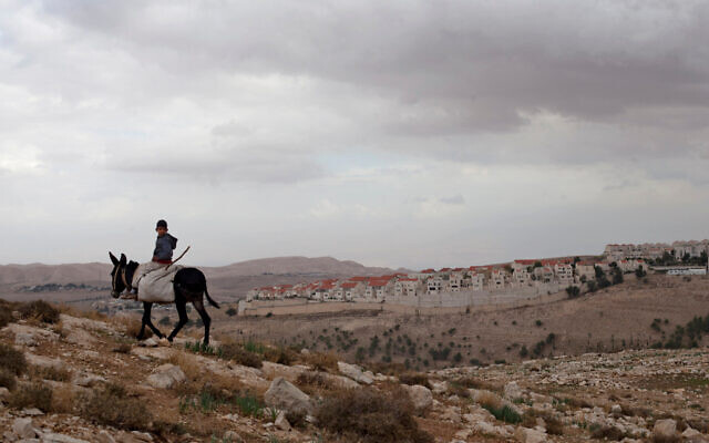 A Palestinian boy rides a donkey in the E-1 area near the West Bank settlement of Ma'ale Adumim, December 5, 2012. (Sebastian Scheiner/AP)