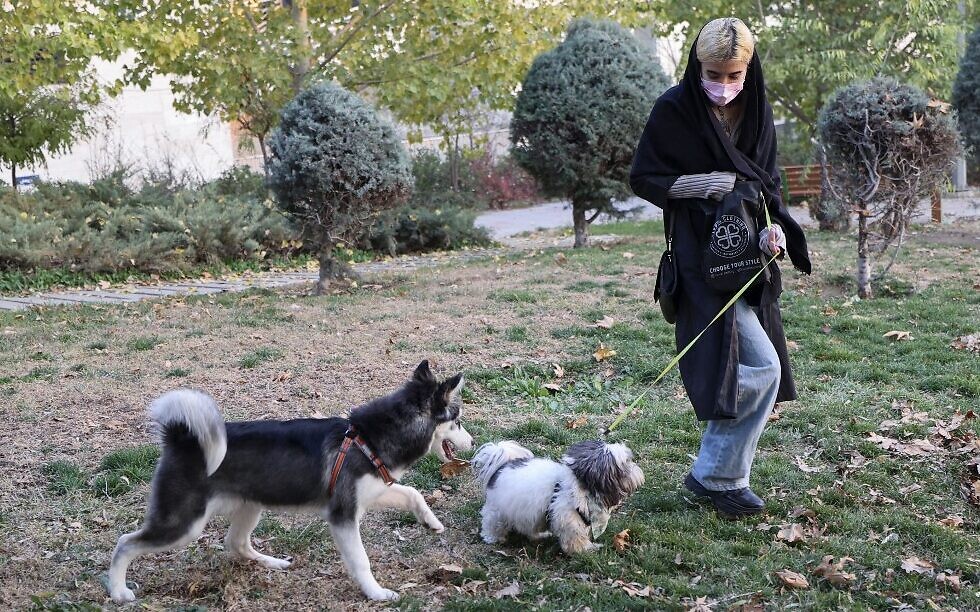 Iranian animal lovers decry ultraconservative push to ban pets | The Times  of Israel