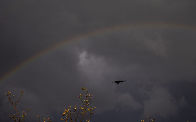 A crow flies as a rainbow appears over Hadera, Israel, Dec. 18, 2021. (AP Photo/Ariel Schalit)