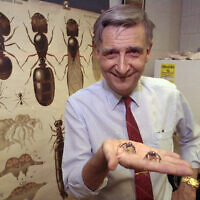 Edward O. Wilson, co-author of "The Ants," which won the Pulitzer Prize for general non-fiction, poses for a portrait on June 10, 1991. Wilson, the pioneering biologist who argued for a new vision of human nature in “Sociobiology” and warned against the decline of ecosystems, died on Sunday, Dec. 26, 2021. He was 92. (AP Photo/File)