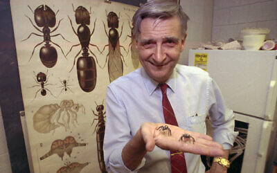 Edward O. Wilson, co-author of "The Ants," which won the Pulitzer Prize for general non-fiction, poses for a portrait on June 10, 1991. Wilson, the pioneering biologist who argued for a new vision of human nature in “Sociobiology” and warned against the decline of ecosystems, died on Sunday, Dec. 26, 2021. He was 92. (AP Photo/File)