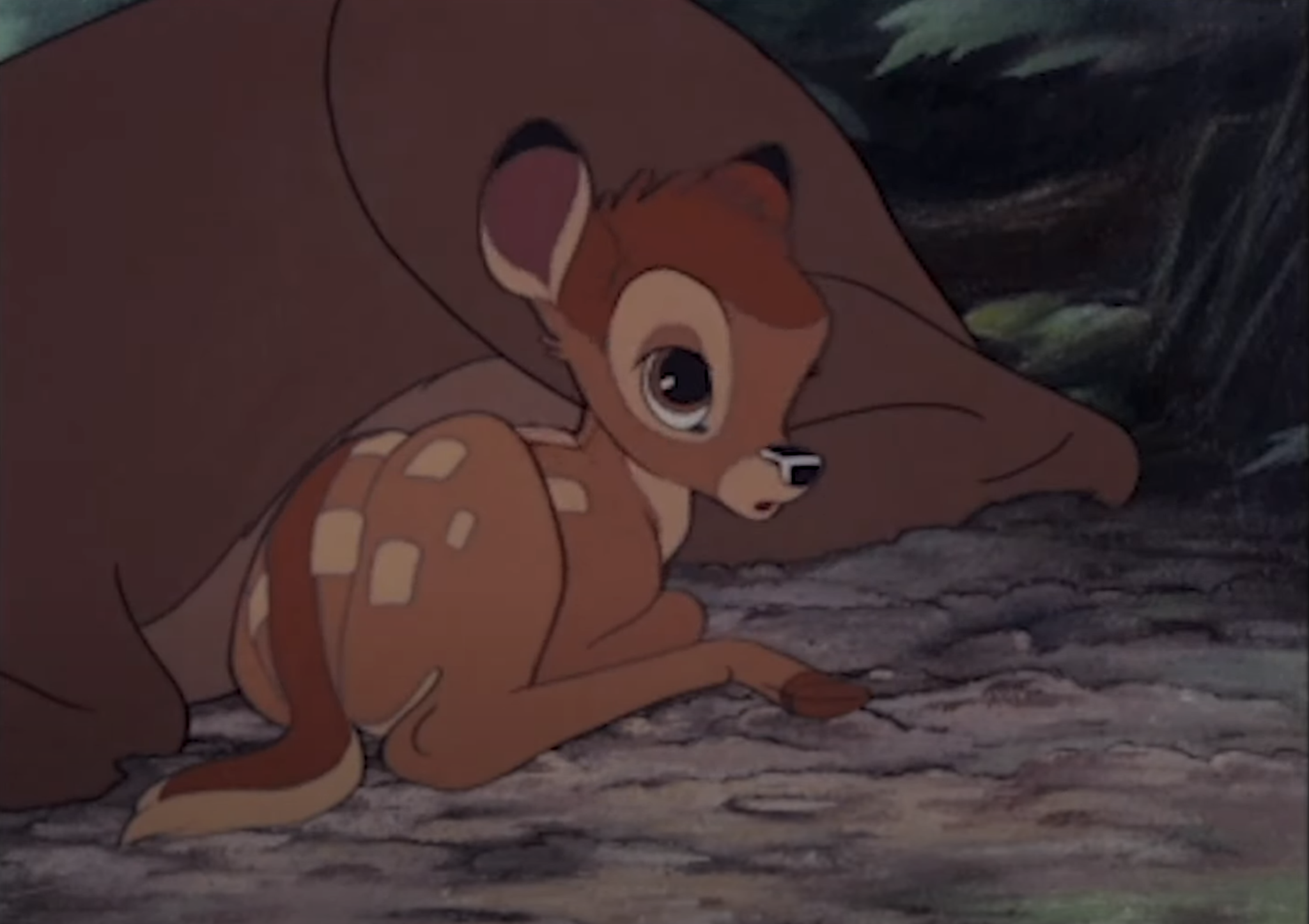 New translation of 'Bambi' showcases tale as allegory on early ...