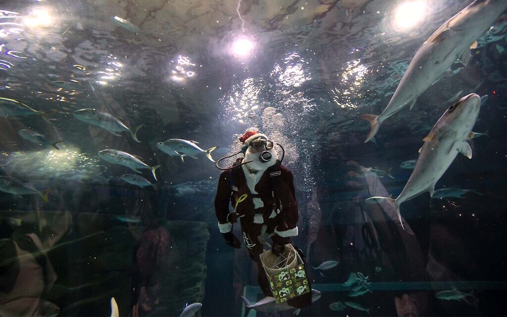 Aquarist Volmer Salvador swims inside a tank at the AquaRio aquarium dressed in a Santa Claus costume during the Christmas season in Rio de Janeiro, Brazil, December 20, 2021. (AP Photo/Bruna Prado)