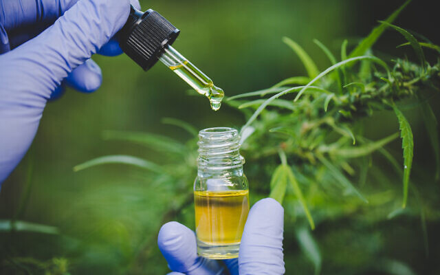 Marijuana oil (iStock via Getty Images)