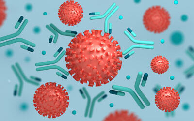 Illustrative image: antibodies attack SARS-CoV-2 (iStock via Getty Images)
