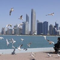Seagulls fly across Abu Dhabi's corniche in the Emirati capital, on January 24, 2022. (Karim Sahib/AFP)