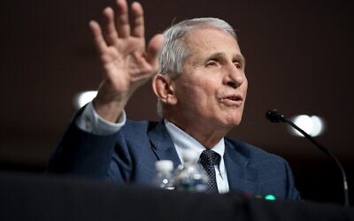 Dr. Anthony Fauci, White House Chief Medical Advisor and Director of the NIAID, testifies at a Senate Health, Education, Labor, and Pensions Committee hearing on Capitol Hill on January 11, 2022 in Washington, DC (POOL / Getty Images via AFP)