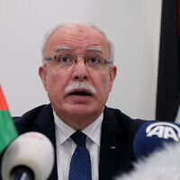 Palestinian Authority Foreign Minister Riad Malki speaks during a press conference at the International Criminal Court, May 22, 2018. (Mike Corder/AP)
