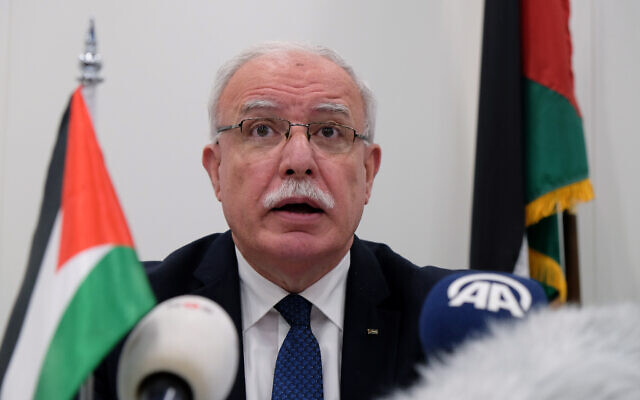 Palestinian Authority Foreign Minister Riad Malki speaks during a press conference at the International Criminal Court, May 22, 2018. (Mike Corder/AP)