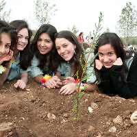 Jewish youngsters plant trees during a Tu Bishvat event organized by the Keren Kayemet LeIsrael in the Ben Shemen forest, February 6, 2012.  (Omer Miron/Flash90)