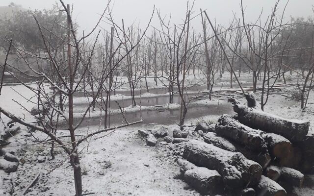 Snow falls near the town of Ein Zivan in the Golan Heights, January 26, 2022. (Courtesy)