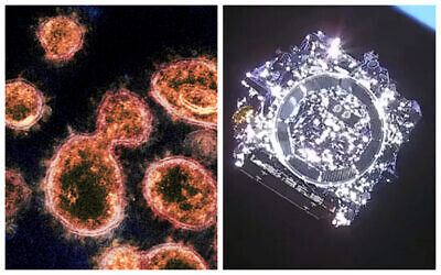 Illustrative: (Left) FILE - This 2020 electron microscope image provided by the National Institute of Allergy and Infectious Diseases - Rocky Mountain Laboratories shows SARS-CoV-2 virus particles which cause COVID-19. (NIAID-RML via AP) (Right) This photo provided by NASA, the James Webb Space Telescope is separated in space on Saturday, December 25, 2021. (NASA via AP)