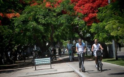 Israelis ride their bicycles on Rothschild Boulevard, in Tel Aviv, on June 20, 2021. (Miriam Alster/FLASH90)