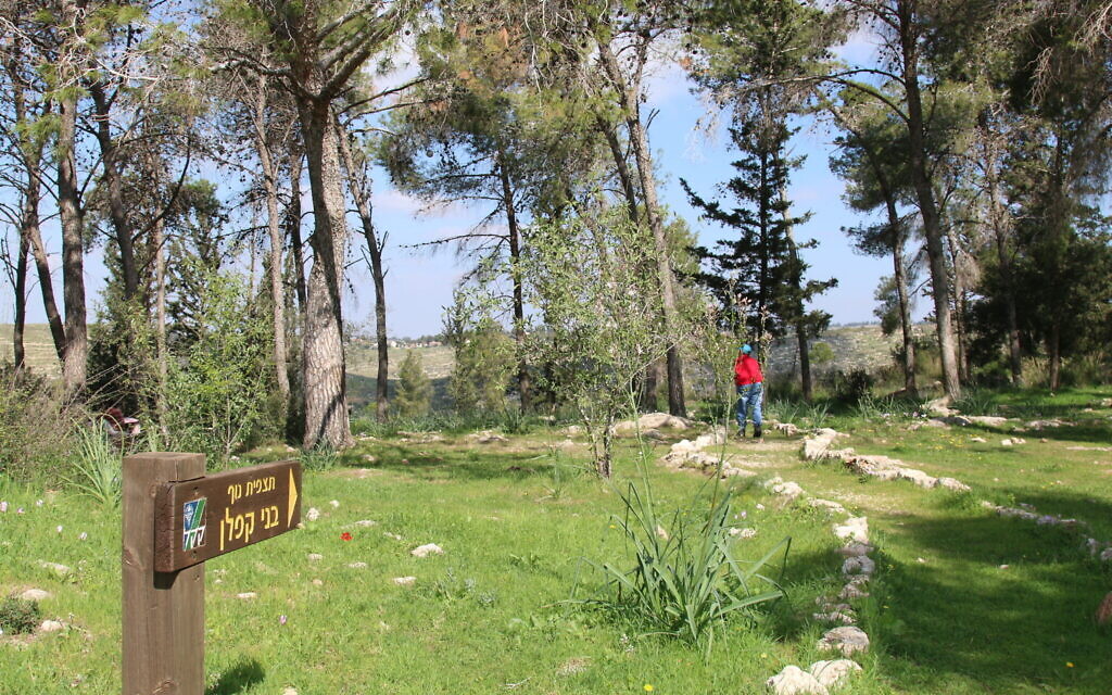 The Benny Kaplan Overlook in Neve Ilan Forest. (Shmuel Bar-Am)