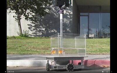 A goldfish operating a fish operated vehicle. (screen capture: Twitter/Ben-Gurion University of the Negev)
