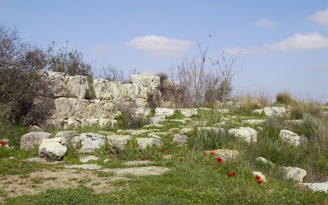 A view of the Hasmonean fortress ruins atop the hill in Holland Forest. (Shmuel Bar-Am)