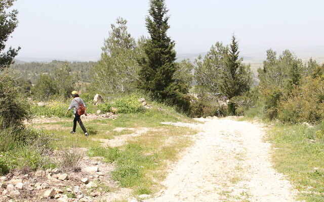 A photo taken along the historic Neve Ilan Forest walk. (Shmuel Bar-Am)