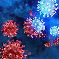 3D illustration of the mutating coronavirus variant. (wildpixel; iStock by Getty Images)