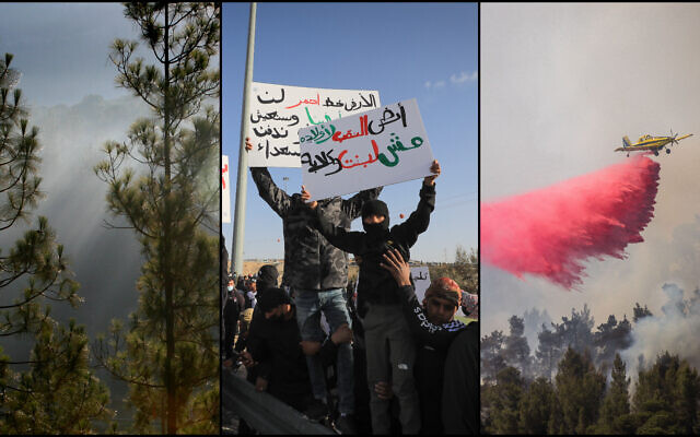 (L-R) Pine trees in a forest near Jerusalem; Bedouins protest against tree planting by the Jewish National Fund, outside the village of al-Atrash in the Negev desert, on January 13, 2022; Firefighting planes extinguish a forest fire near Jerusalem, on June 9, 2021. (Nati Shohat; Jamal Awad; Yonatan Sindel/Flash90)