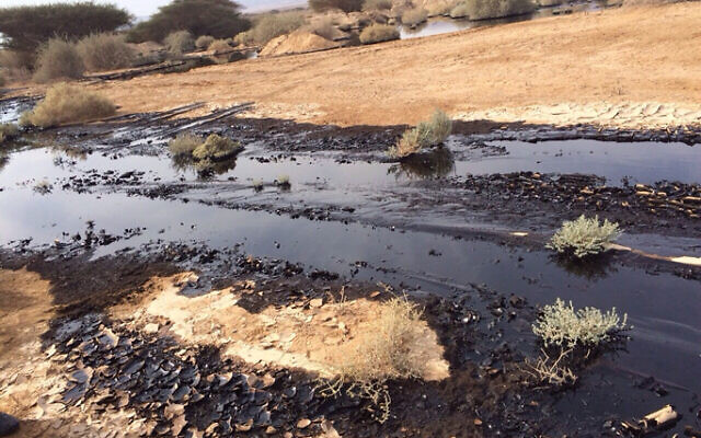 Illustrative: The oil leak in the Arava area of southern Israel in 2014 after a crack in the Eilat-Ashkelon pipeline. (Nature and Parks Authority)