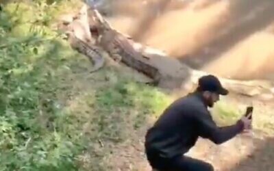 Screen capture from video of a man who entered the crocodile enclosure at the Ramat Gan Safari, Febrauary 17, 2022. (Twitter)