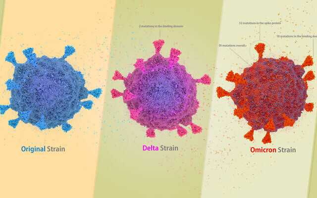 An illustration showing the evolution of the main coronavirus variants that infected Israel. (CIPhotos via iStock by Getty Images)