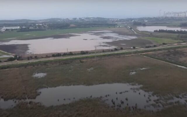 Aerial view of the Poleg swamp in central Israel. (YouTube screenshot)
