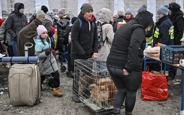 People carry evacuated dogs after crossing the Ukrainian borders into Poland, at the Medyka border crossing in Poland, on March 7, 2022 (Louisa GOULIAMAKI / AFP)