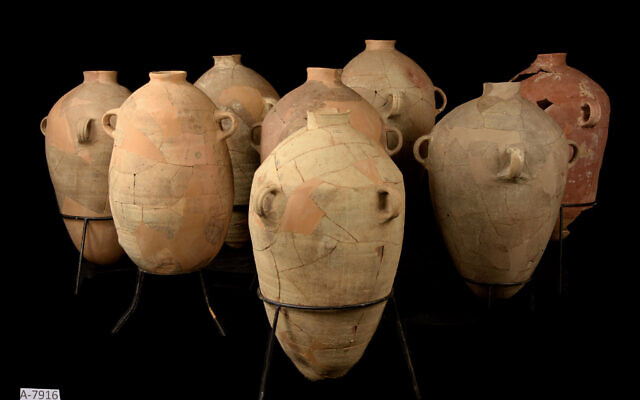 Collection of 6th century BCE wine jars after the restoration process. (Dafna Gazit/Israel Antiquities Authority)
