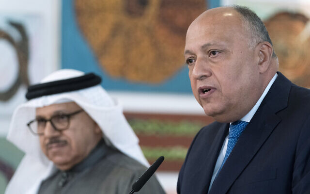 Egypt's Foreign Minister Sameh Shoukry, right, speaks during remarks at the Negev Summit, March 28, 2022, in Sde Boker, with Bahrain's Foreign Minister Abdullatif bin Rashid al-Zayani, at left. (AP Photo/Jacquelyn Martin, Pool)