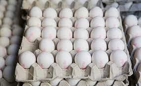 Israel scrambles for solutions as Ukraine war chokes off egg, wheat imports