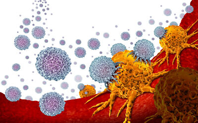 Illustrative: White blood cells attack a tumor (wildpixel; iStock by Getty Images)