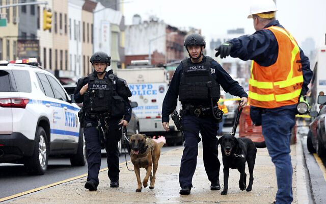 Officers with bomb-sniffing dogs look over the area after a shooting on a subway train, April. 12, 2022, in the Brooklyn borough of New York. (AP Photo/Kevin Hagen)