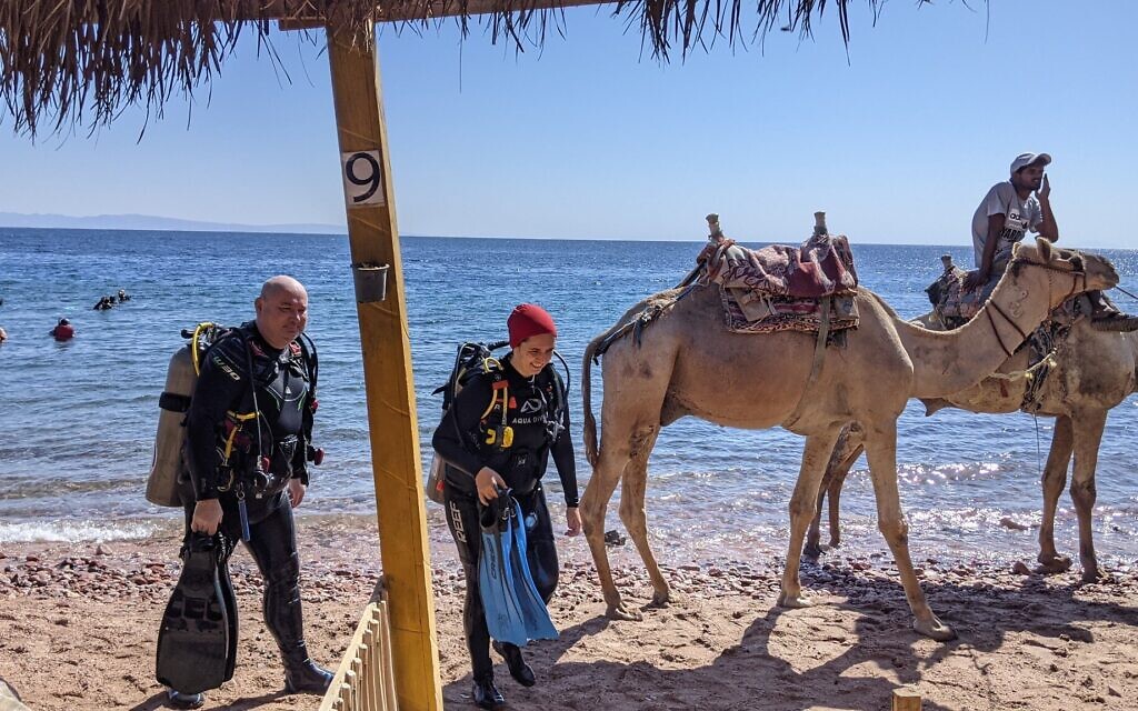 Scuba divers exit the water at the Moray Gardens diving site near Dahab, Sinai, on November 9, 2021. (Melanie Lidman/Times of Israel)