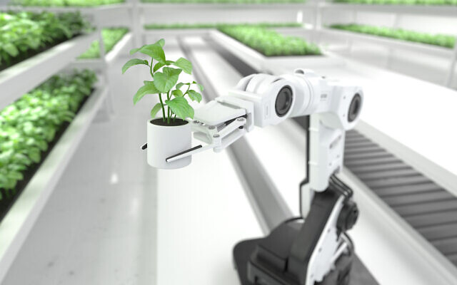 An illustrative image of a smart robotic farming concept. (sarawuth702 via iStock by Getty Images)
