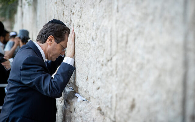 Herzog to ToI on Israel at 74: Celebrate, unify, seize moment for ...