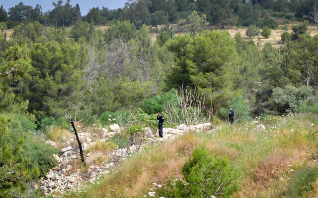 Israeli police officers search a forested area near the scene where three people killed in a terrorist attack in Elad, May 6, 2022. (Avshalom Sassoni/Flash90)