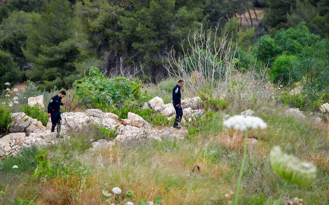 Israeli police officers search a forested area near the scene where three people killed in a terrorist attack in Elad, May 6, 2022. (Avshalom Sassoni/Flash90)