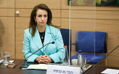 Meretz MK Ghaida Rinawie Zoabi addresses a Knesset committee. (Danny Shem Tov/Knesset Spokesperson)