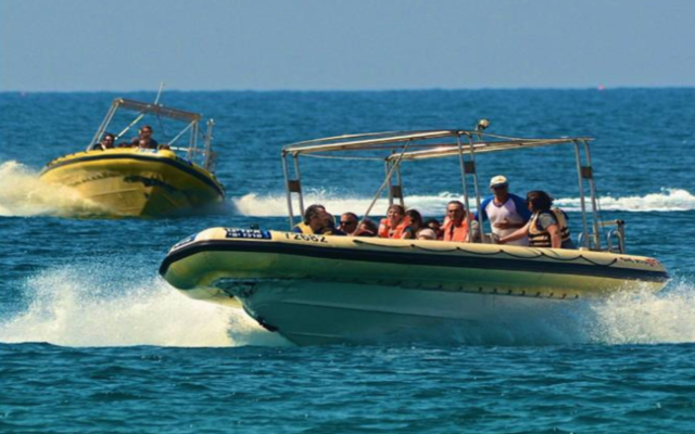 Safari Boat Ride at the Indigo Sea Dive Center