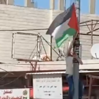 An Israeli removes a Palestinian flag from a pole in the Palestinian town of Hawara on May 20, 2022. (Screen capture/Twitter)