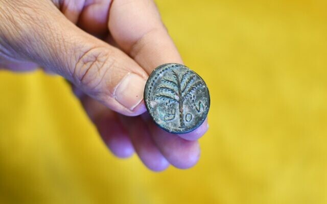 Shimon Bar Kochba coin seized in a massive illegal trade bust on May 15, 2022 in Modi'in. (Yoli Schwartz/Israel Antiquities Authority)