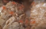 Phytoseiulus persimilis predatory mites (video screenshot)