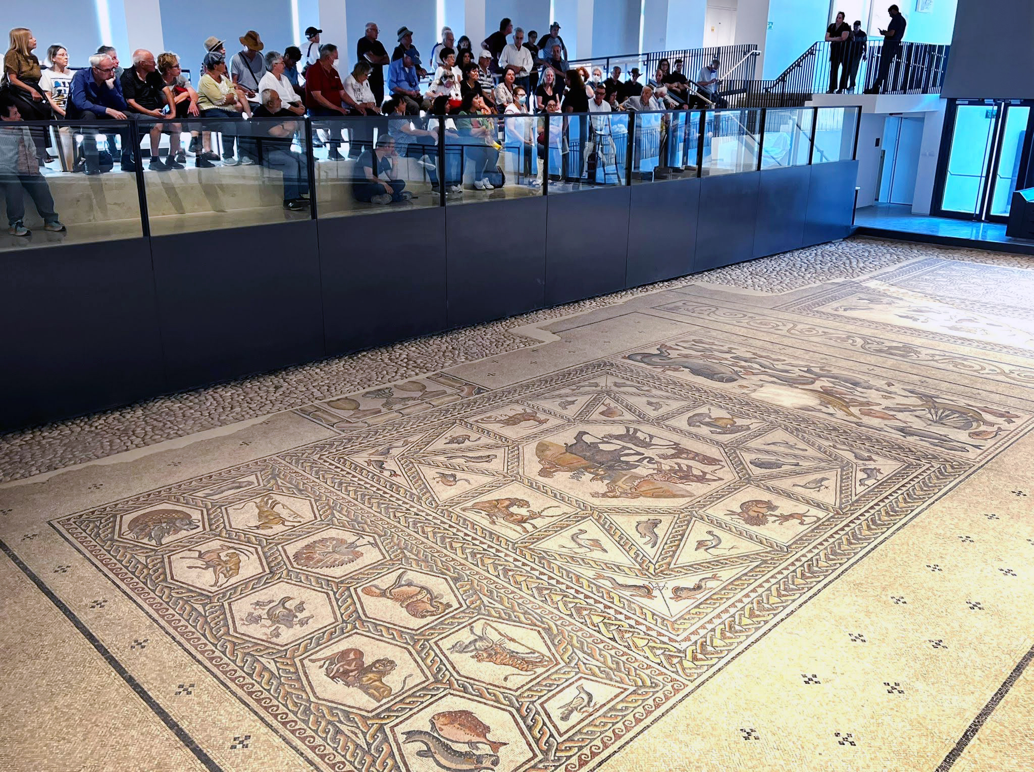 Stunning Roman-era Lod seafaring mosaic finally drops anchor in a home of  its own