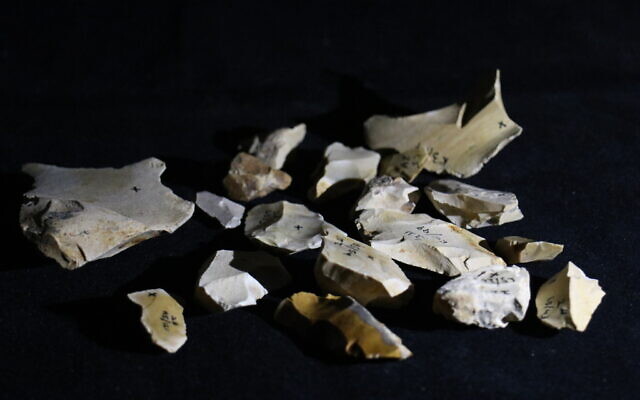 800,000-year-old flint tools found at the Evron Quarry in northern Israel. (Zane Stepka)